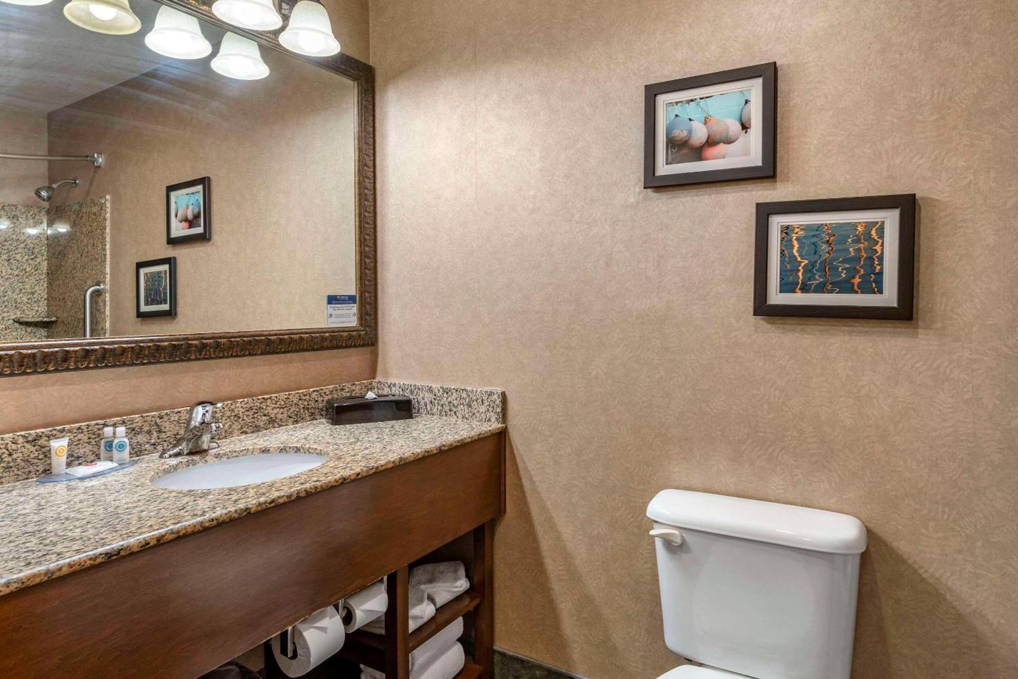 Comfort Inn & Suites Линкольн-Сити Экстерьер фото